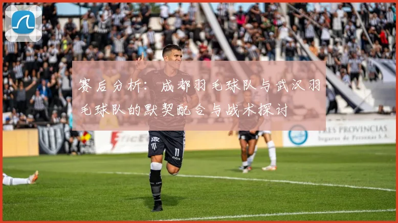 赛后分析：成都羽毛球队与武汉羽毛球队的默契配合与战术探讨