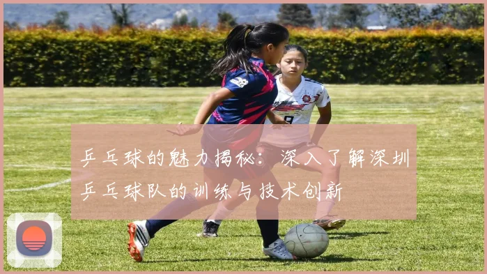 乒乓球的魅力揭秘：深入了解深圳乒乓球队的训练与技术创新