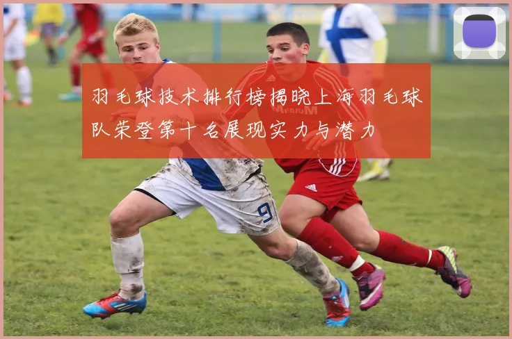 羽毛球技术排行榜揭晓上海羽毛球队荣登第十名展现实力与潜力