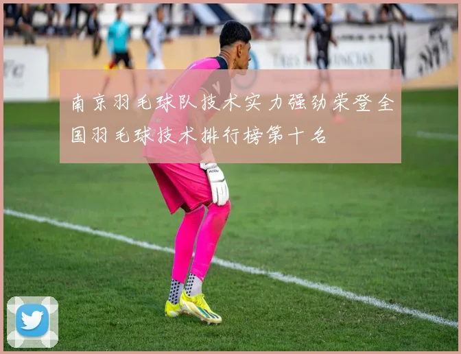 南京羽毛球队技术实力强劲荣登全国羽毛球技术排行榜第十名
