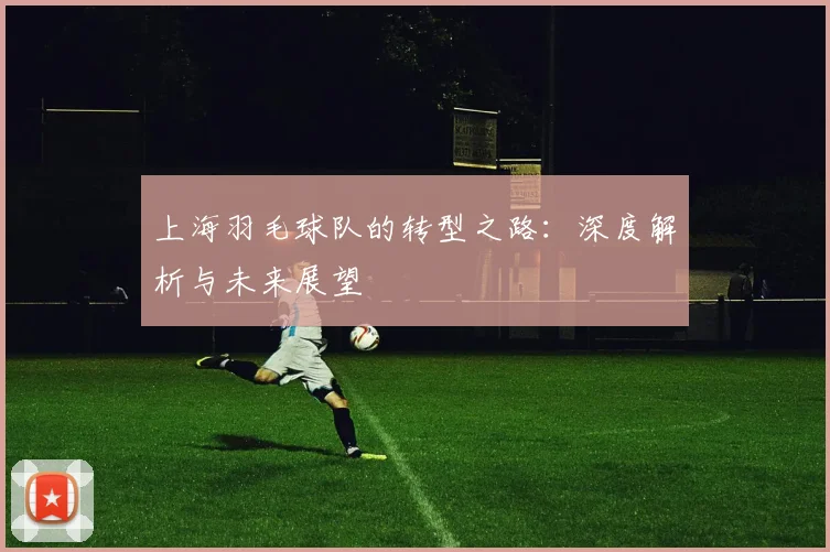 上海羽毛球队的转型之路：深度解析与未来展望