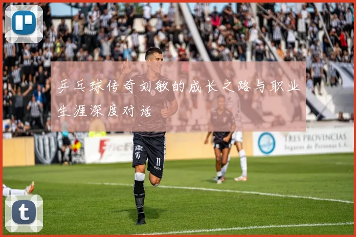 乒乓球传奇刘敏的成长之路与职业生涯深度对话