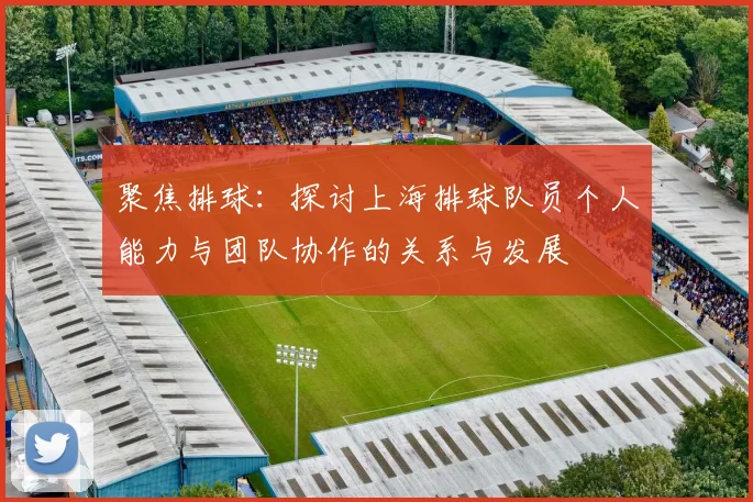 聚焦排球：探讨上海排球队员个人能力与团队协作的关系与发展