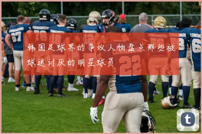 韩国足球界的争议人物盘点那些被球迷讨厌的明星球员