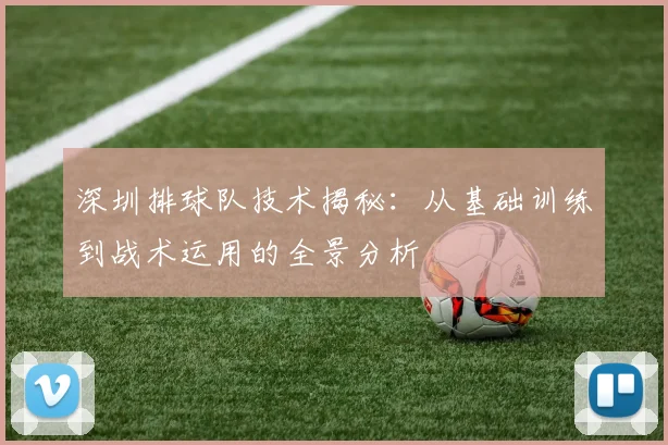深圳排球队技术揭秘：从基础训练到战术运用的全景分析