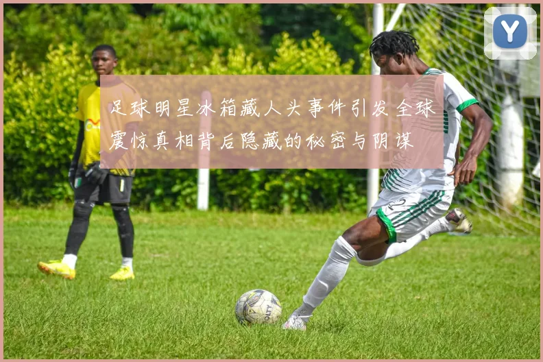 足球明星冰箱藏人头事件引发全球震惊真相背后隐藏的秘密与阴谋