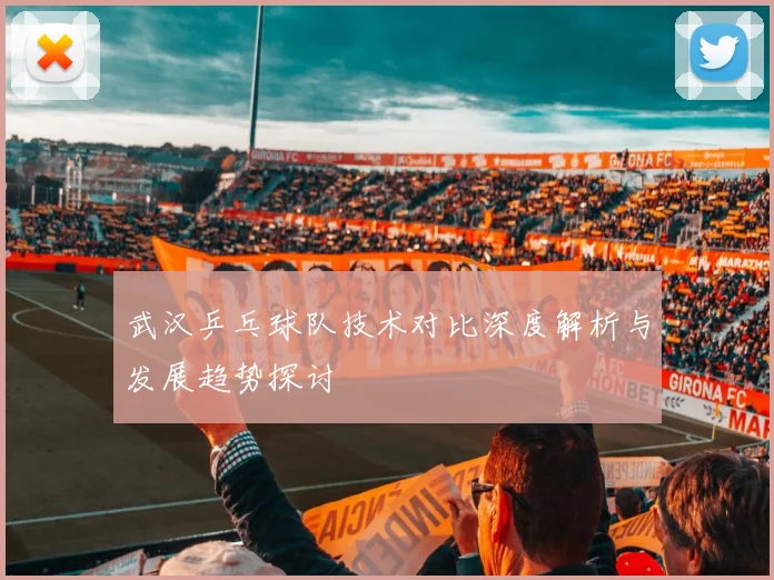 武汉乒乓球队技术对比深度解析与发展趋势探讨