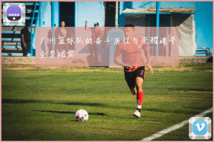 广州篮球队的奋斗历程与荣耀追寻全景纪实