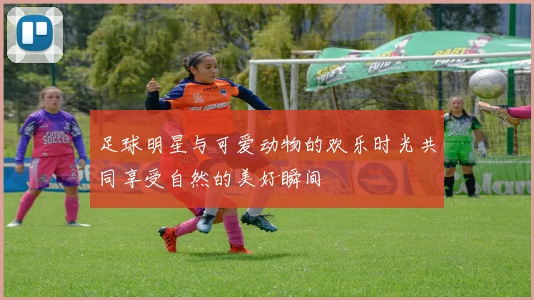 足球明星与可爱动物的欢乐时光共同享受自然的美好瞬间